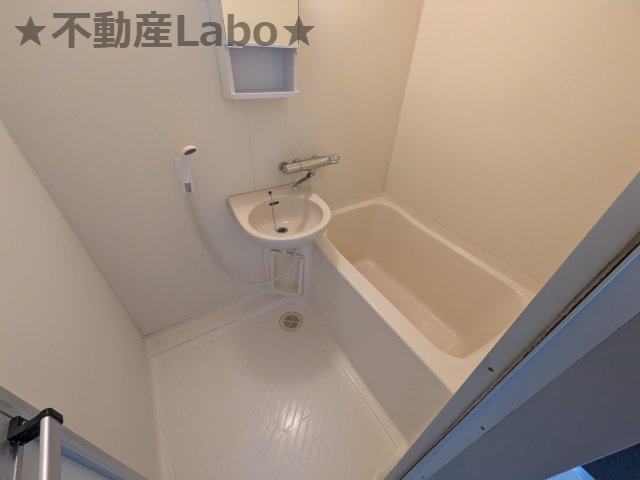 ラフォーレⅠ 405の洗面所