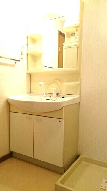 ビレッジあいBの洗面所