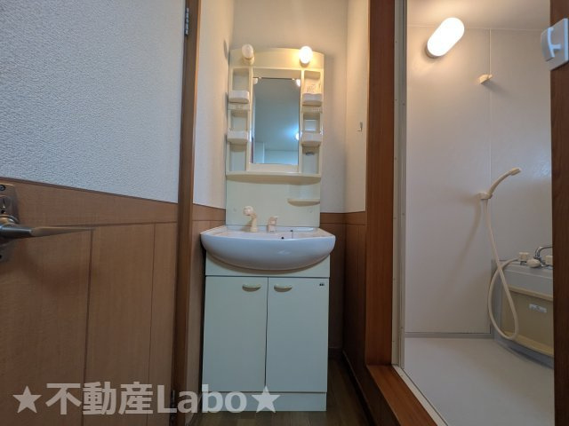 フェリーチェ藍住の洗面所