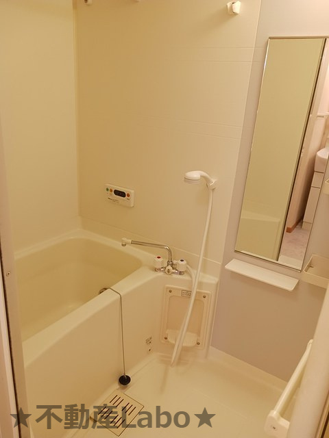 メゾンシャモニーBの浴室