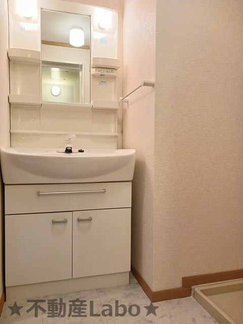 メゾンシャモニーBの洗面所