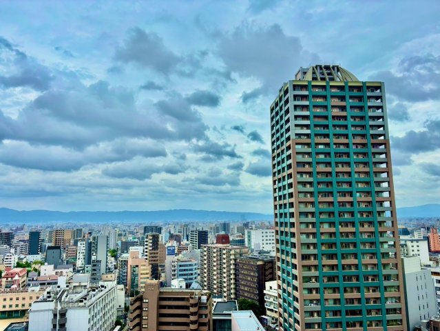 ザ・天王寺レジデンスガーデン&ビスタの展望