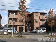 C'EST LA VIEの画像