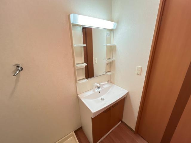 ユーパーク１７の洗面所|洗髪洗面化粧台