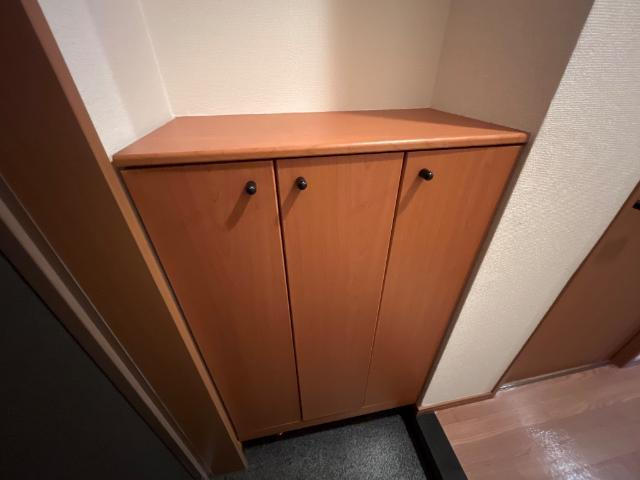 エアリスの収納|下駄箱