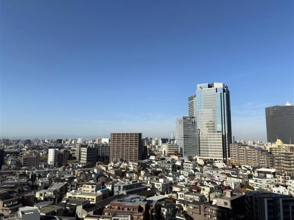 ザ・パークハウス西新宿タワー６０のその他