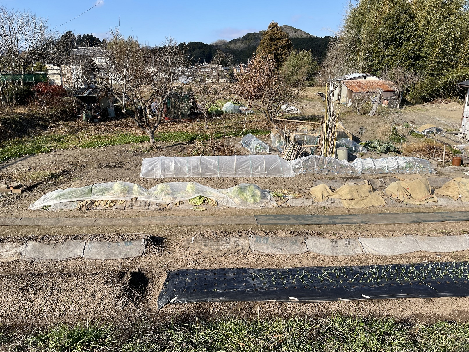 丹波篠山市大山下の売地
