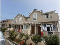 サニー・エクセレント　Ｂの画像