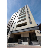 VERITAS　IZUMIの画像