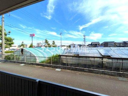 グレイス SEの展望