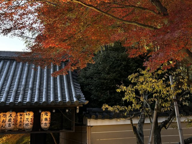 京都東山 みつのわ路地 - ゆったり過ごす京町家の周辺|高台寺や石塀小路の近くです