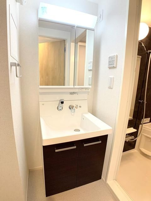 リテラス森下の洗面所