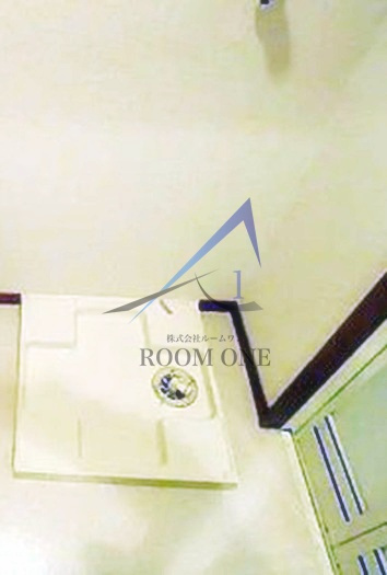 Ｔ・ハルジオンのその他