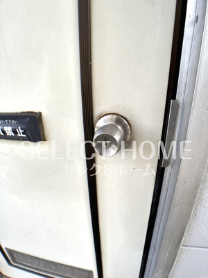  | サンフォレスト森