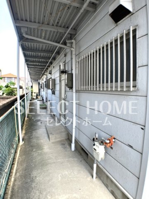  | サンフォレスト森