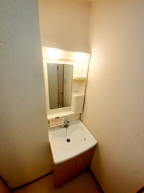 メゾン大司の洗面所|洗面所