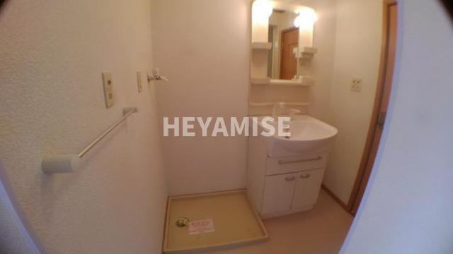 グリーンヒル三城Aの洗面所