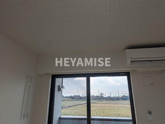 ヴィトーリアのその他