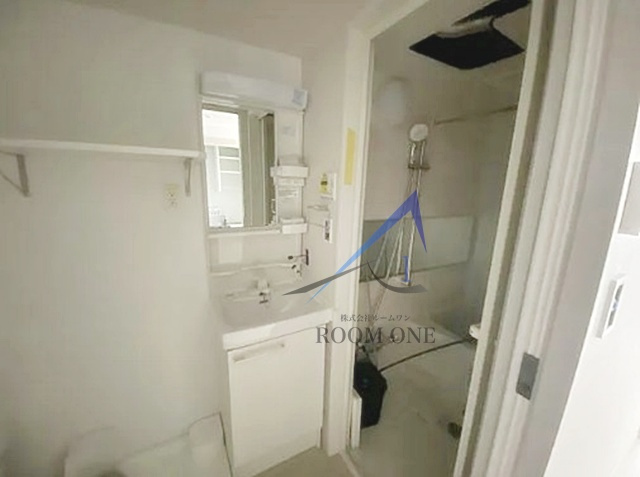 プラチナフォルム東十条Ⅱの洗面所|洗面台です。