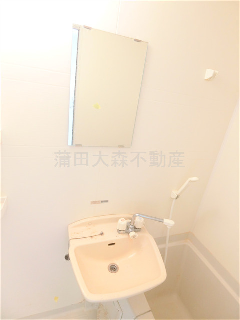 ブロッサムテラス下丸子の浴室