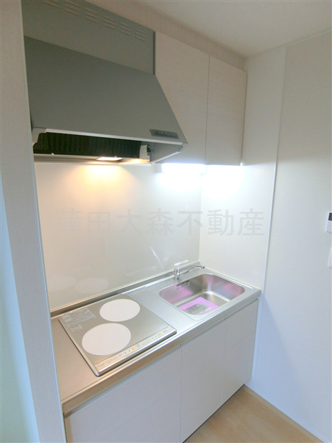 グレース・カーサのキッチン|2口IHシステムキッチン