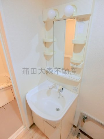 Grace多摩川の洗面所