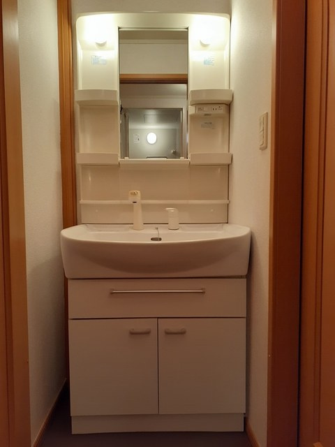 グリーンコートCの洗面所