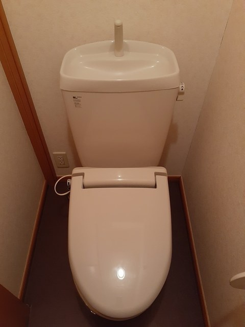 グリーンコートCのトイレ