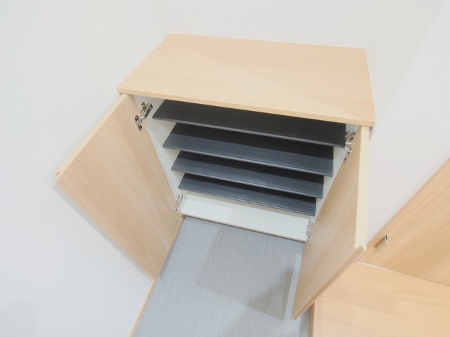 セブンプロート海田市駅前の収納