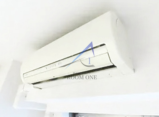 ロアール大山の設備|エアコンです。