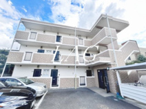 ルミエールの画像