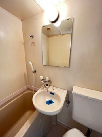 メゾン・ド・エルの洗面所