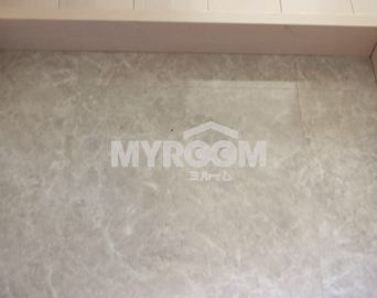 ハーモニーテラス北新宿Ⅲの玄関|玄関（同一仕様写真）