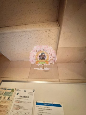 【セキュリティ】 | ビッグヴァン横浜西