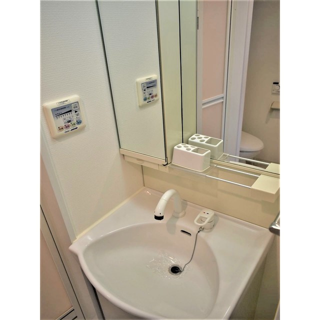 ヒューマンハイム亀戸ＩＩの洗面所