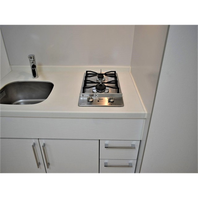 ヒューマンハイム亀戸ＩＩ