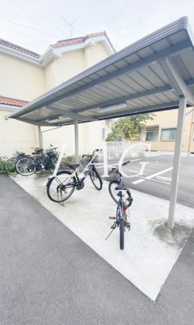 【その他】 | Ｃａｓａ　Ｃａｍｉｎｏ　Ｎｏｒｔｅ