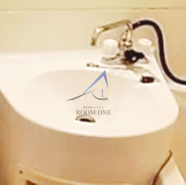 メゾン・ド・モナークの洗面所|洗面台です。