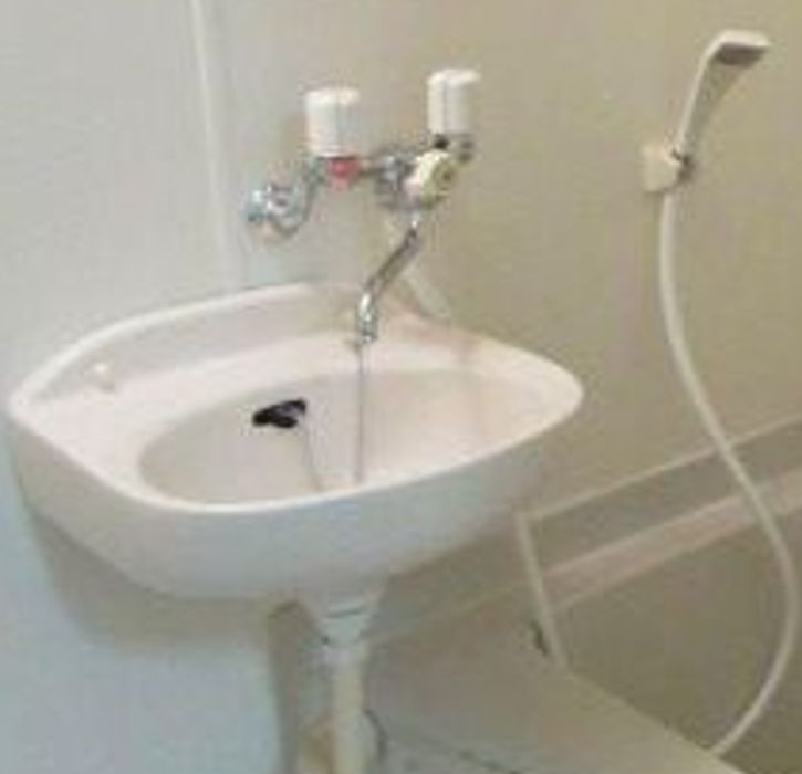 メゾン神楽坂の洗面所