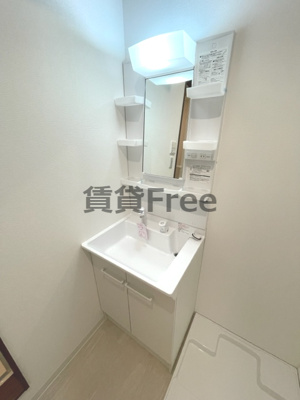 【独立洗面台】 | アールグレイコート桃谷　仲介手数料無料