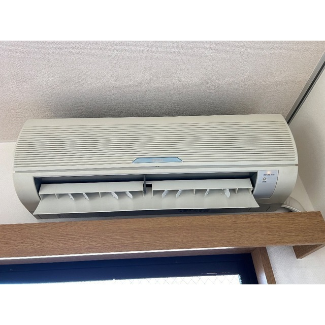 ルネスシーナのその他