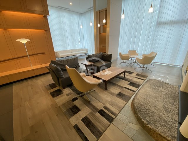 プレミストタワー大阪新町ローレルコート　堀江小学校区のエントランス|プレミストタワー大阪新町ローレルコート　エントランス