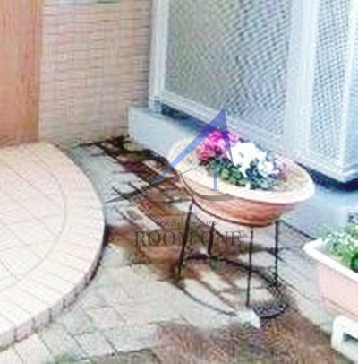 ハイグレード椿