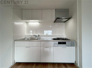 壁付けシステムキッチンはスペースの最大限の有効活用が可能で、動線がスムーズになり調理や準備が快適で効率的に行えます。収納スペースや吊り戸棚が設けられ、調理器具や食器類をスマートに収納できます。
