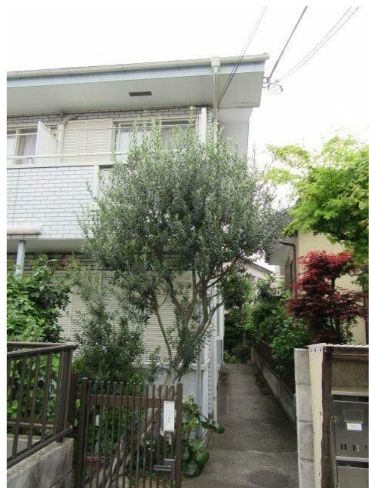 サニーハウスのエントランス