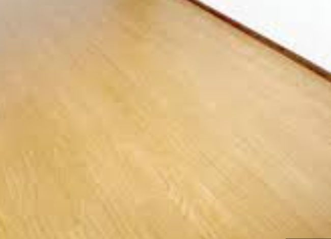 サニーハウスの居間・リビング