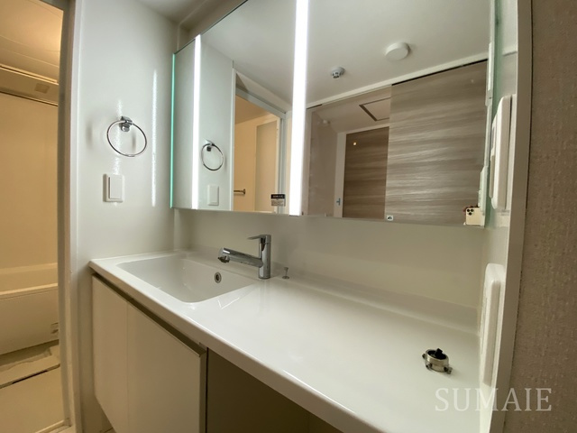 ルリアン北小岩Ⅲの洗面所|独立洗面台です！