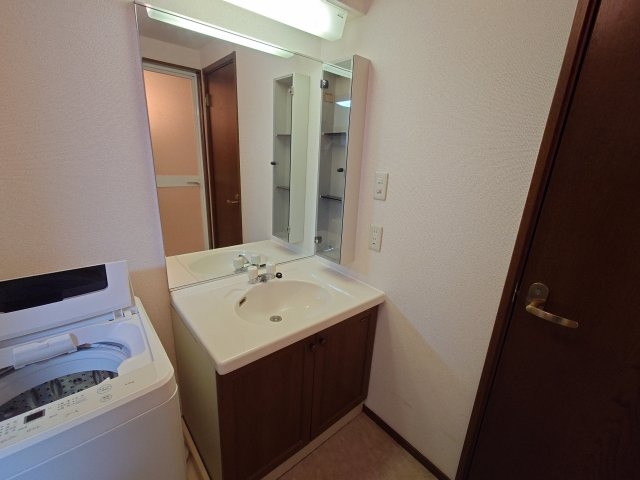 アルテシアン夙川の洗面所