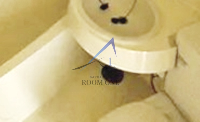 ライオンズマンション東神田のその他