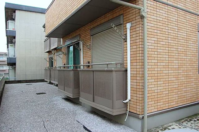 【展望】 | Dream Lights